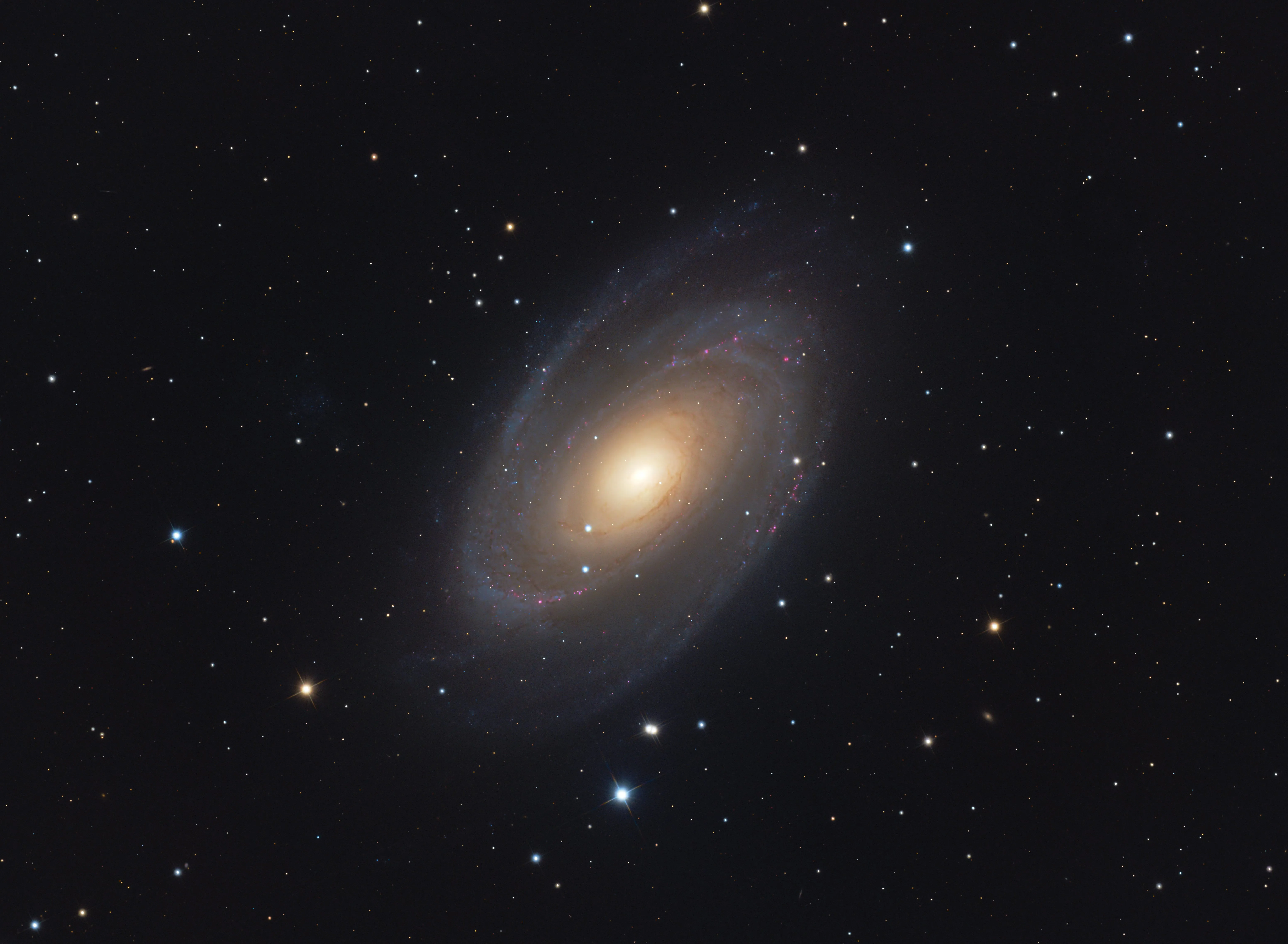 M81 - Bode's Galaxy